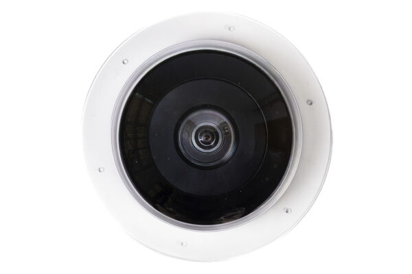 Oystashell 4360_004